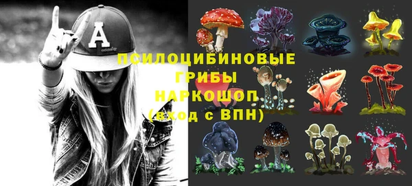 стаф Армянск
