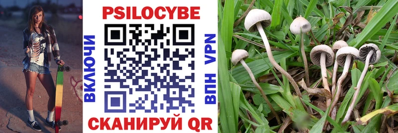 hydra сайт  Усть-Илимск  Галлюциногенные грибы Cubensis 